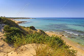 Summer beach.Torre Guaceto Nature Reserve: panoramic view of the coast from the dunes.