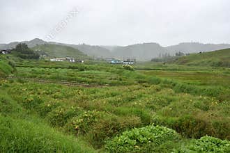 Agriculture At Meghalaya