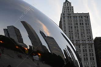 The Chicago Bean