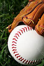 Baseball and Glove