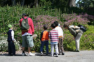 Field Trip