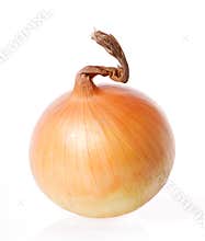 Onion