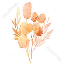 Pink and beige tropical leaves, a bouquet of dry plants on a white background, watercolor illustration in boho style