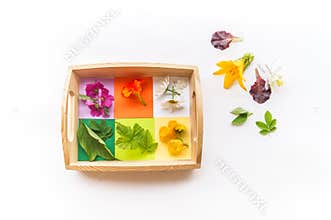 Montessori material is nature flat lay. Children hand sort the flower by color rainbow