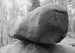 Granite boulder in forest