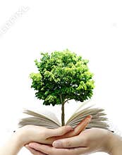 Book in thr hands
