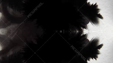 The symmetric appearance of ink on a sheet of paper in the form of a Rorschach test