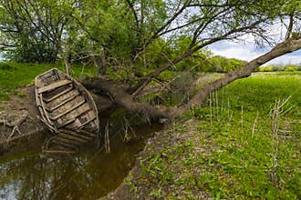 An old boat on the swampy bank of the former river
