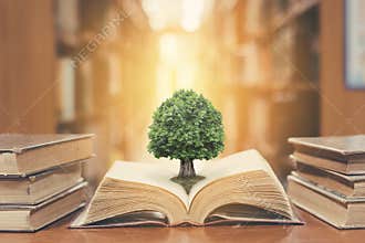 World philosophy day concept with tree of knowledge planting on opening old big book in library full with textbook, stack piles