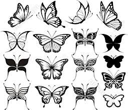 Butterfly clipart