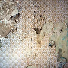 Peeling Wallpaper, Damaged Wal