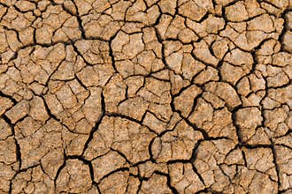 Dry cracked earth - Desert.