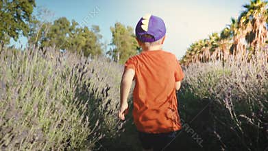 Child running through a lavender field seen from behind