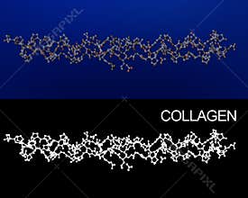 Collagen