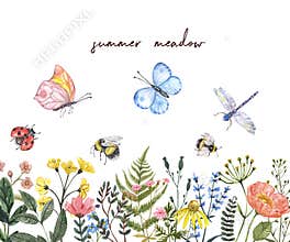 Watercolor horizontal wildflowers border. Bright colorful summer flowers, greenery leaves, grass, isolated on white background.