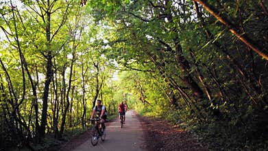 Walk in the forest next to bicycles and electric scooter, Balaton -  4k footage