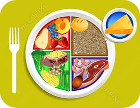 Food My Plate Dinner Portions