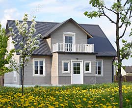Country house in gray