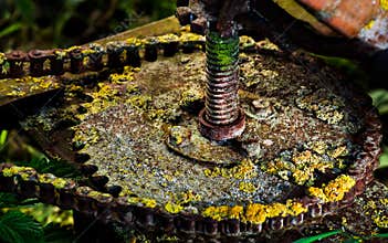 Rusty gear
