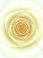 Single White Rose Open Pattern