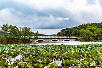 Early autumn landscape of Jingyuetan National Forest Park, Changchun, China