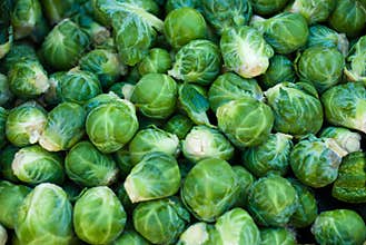 Organic Brussels Sprouts