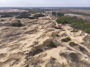 Aerial Drone Shot in The largest desert in Europe, Ukraine - Oleshky Sands with Some bushes and Pine trees. Plants in