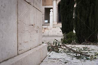 Olive branch on the ground during the religious celebration of Holy Week in Colmenar de Oreja, Spain