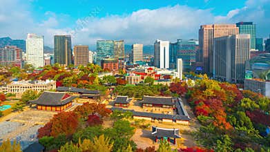 Timelapse 4k, Autumn leaves on Deoksugung Palace. In Seoul City South Korea And the blue sky