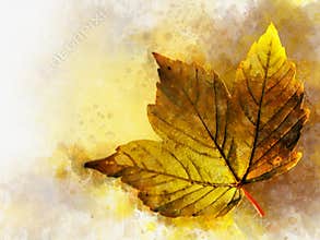 Autumn leave - watercolor on a white background. Fall illustration