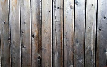Cedar Fence Panels