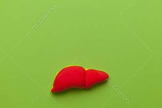 Treatment and prevention of the liver. Cirrhosis from alcohol and junk food. Cartoon concept. Copy space for text