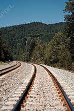 Railroad Tracks Disappear into the Horizon