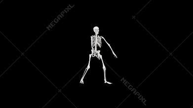 Skeleton dancing - Halloween concept