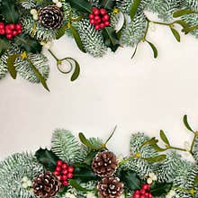 Winter Solstice Natural Greenery Border