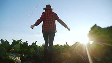 Agriculture. girl farmer in a rubber boots walks green field grass. Worker farmer goes home after harvesting working day