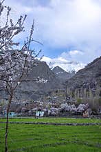 Spring time in gangchay, Skardu, northern areas of Gilgit Baltistan, Pakistan