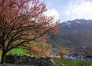 Spring time in Skardu, northern areas of Gilgit Baltistan, Pakistan
