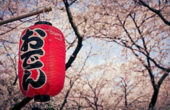 Hanami season in Japan