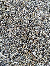 Sea Shell Sand Texture 1