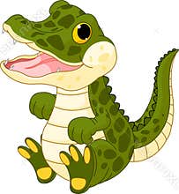 Baby crocodile