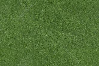 Detailed aerial view of green grass - tiled texture