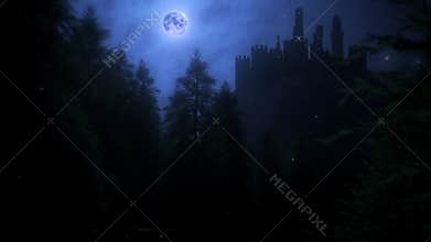 Castle by Night - View from the Forest - Loop Landscape Background