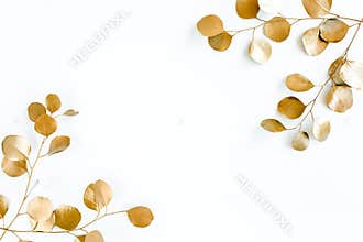 Borders of the frame of gold branches, eucalyptus leaves on a white background. flat layout, top view