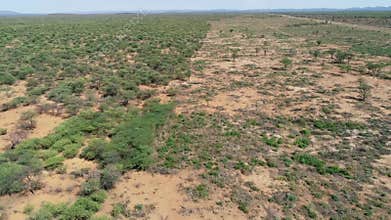 Aerial view of bush clearing - Northern Namibia