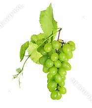Grapes
