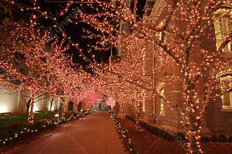 Christmas lights in the night