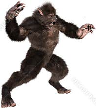 Werewolf, Wolf, Monster, Beast, Isolated
