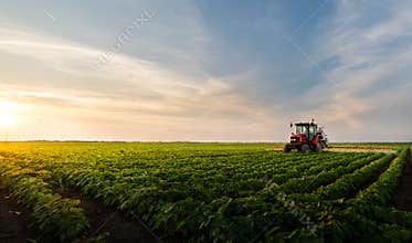 Tractor spraying soybean field