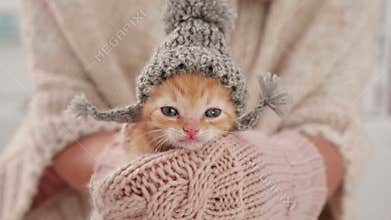 Cute kitten prepared for winter, wearing knitted woolen hat